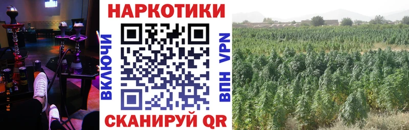 Магазины продажи наркотиков Железногорск Cocaine  Меф мяу мяу  MEGA сайт  Канабис  Гашиш  СК 