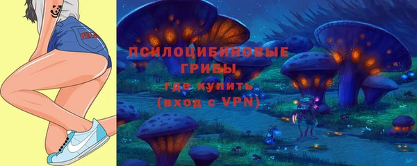 ECSTASY Волосово