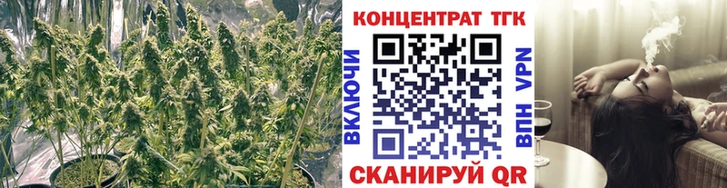 ТГК вейп Железногорск