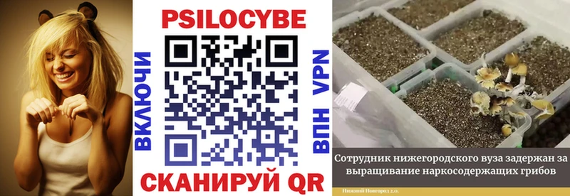 Галлюциногенные грибы Magic Shrooms Железногорск